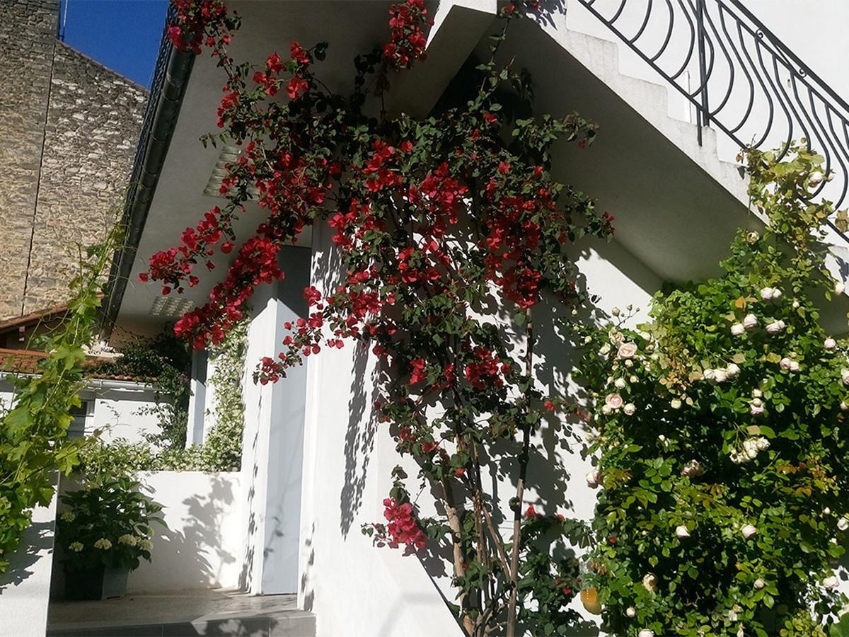 Le Clos Chez Michel Montpellier Exterior photo
